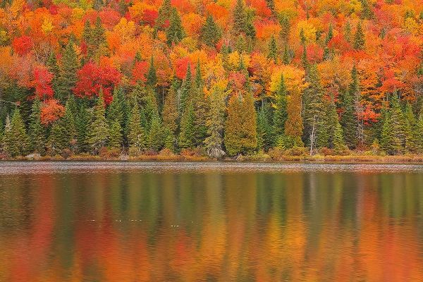 Canada-Quebec-La Mauricie National Park Autumn colors reflected in Lac 횪 Sam